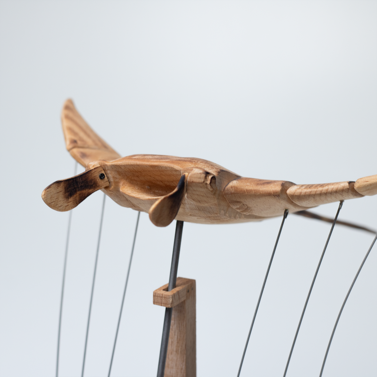 Handcrafted   Wooden   Manta   Ray   Automaton