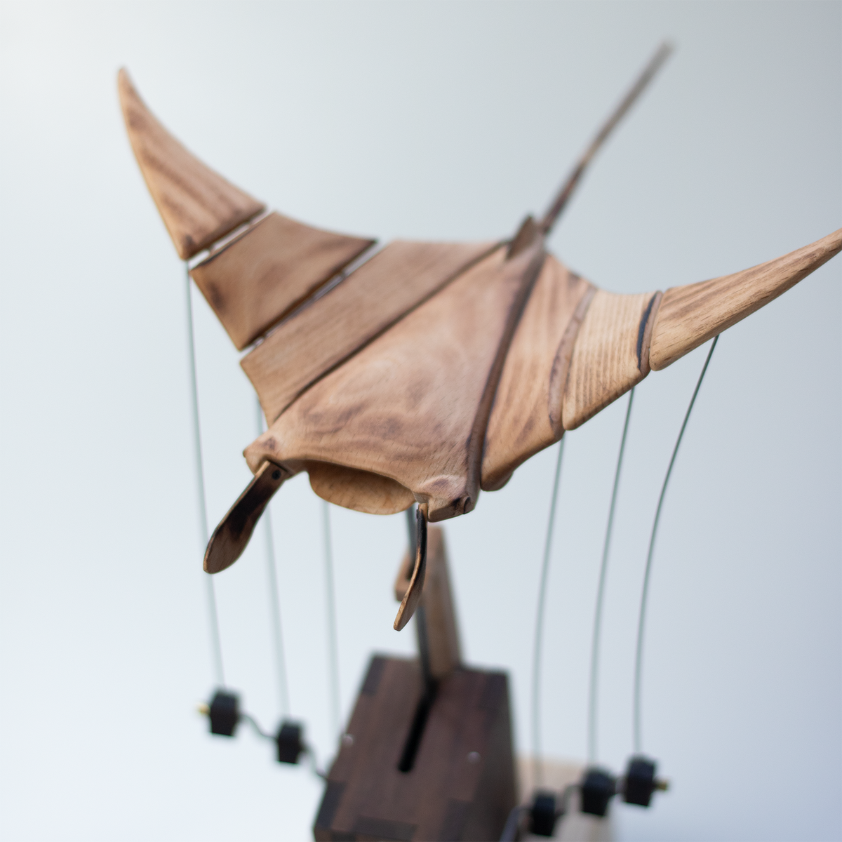 Handcrafted   Wooden   Manta   Ray   Automaton