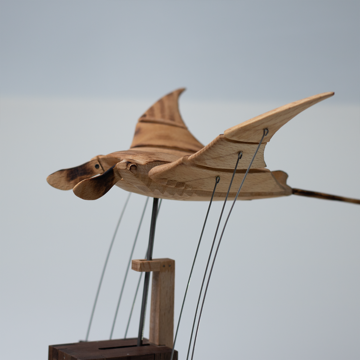 Handcrafted   Wooden   Manta   Ray   Automaton